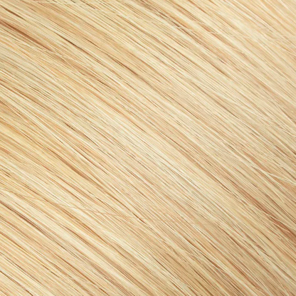 Extensiones con Clips - 50cm - Rubio Miel / Rubio Claro Beige (27/22)